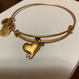 Alex and Ani Bracelet